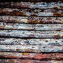 DSC02512aArchive image