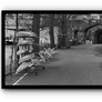 York by the River