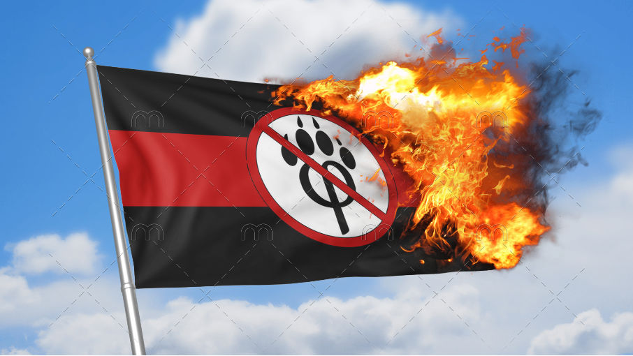 Anti Riffet Anti furry Flag Burning by ibishuthecar2134 on DeviantArt