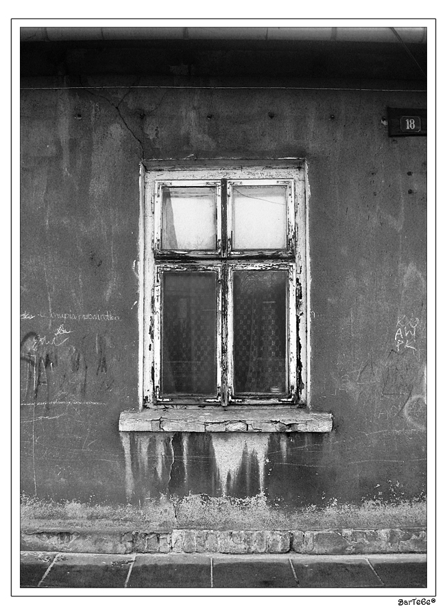 Window To The Past