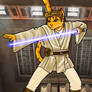 Maxx Jedi Knight -finished-