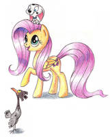 Fluttershy, Cadpig and Spot