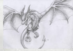 dragon