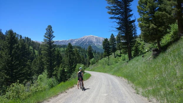 Mountain Biking