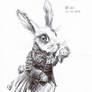 Time Rabbit