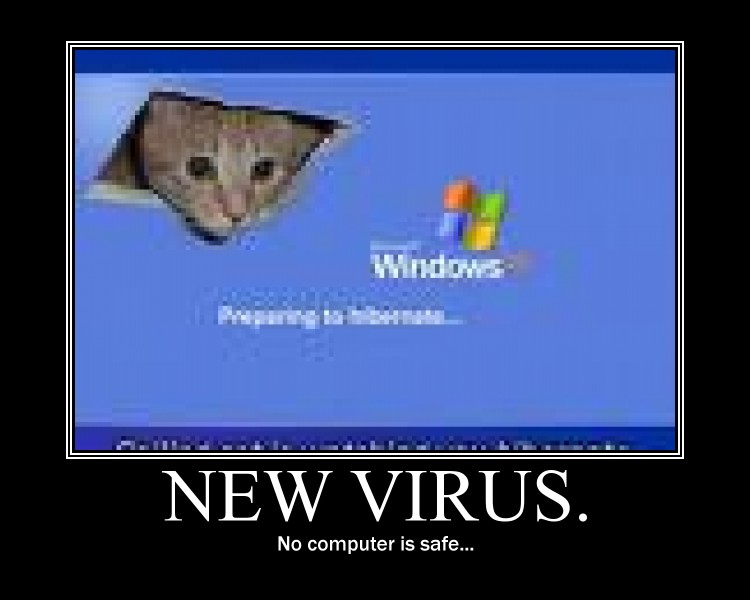 New virus