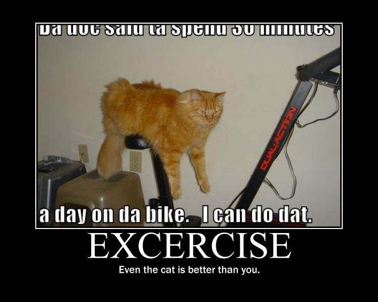 Excercise demotivational