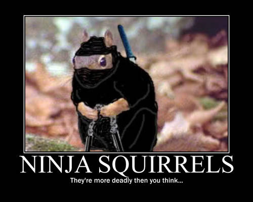 ninja squirrel demotivational