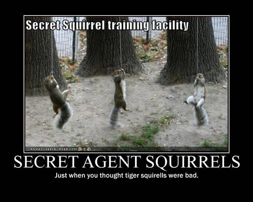 Agent squirrel demotivational