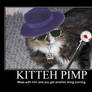 Pimp kitteh demotivational