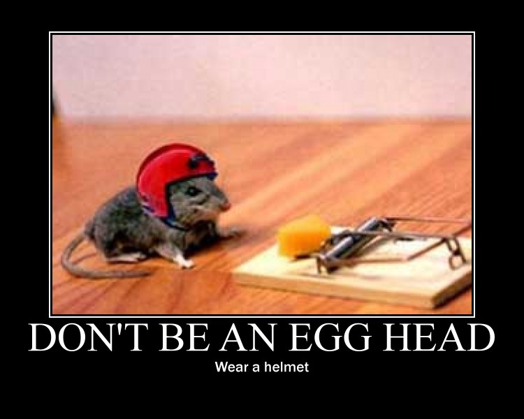 Helmet Safety Demotivational