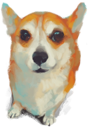 Corgi