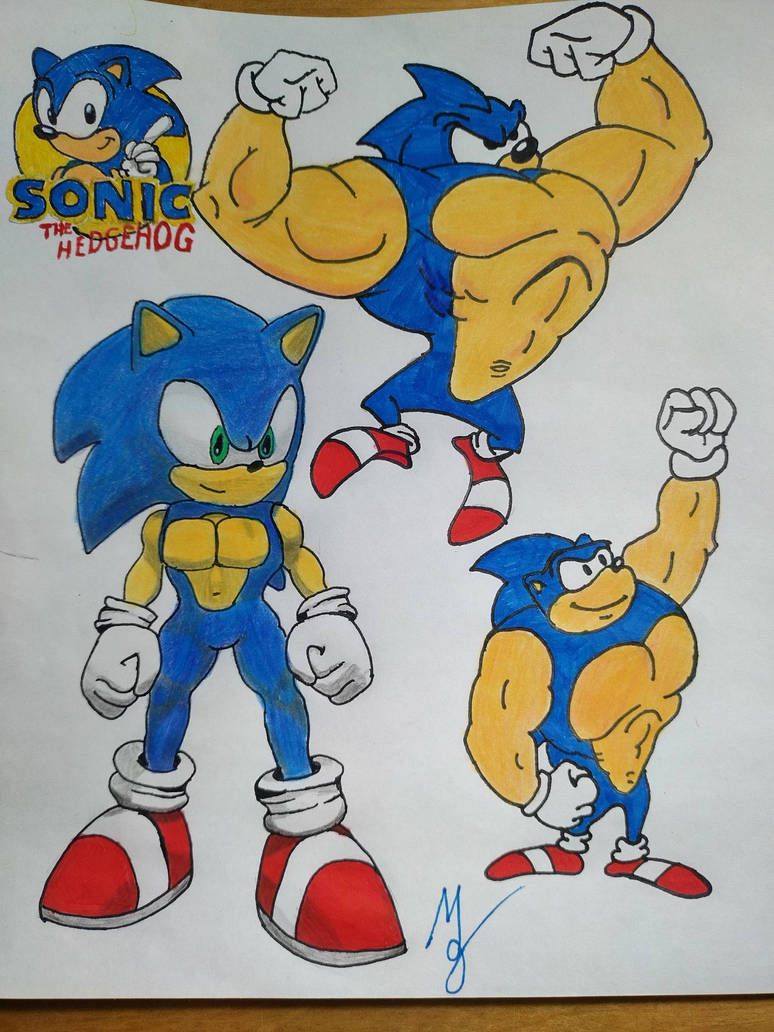 Buff sonic by guids1 on DeviantArt