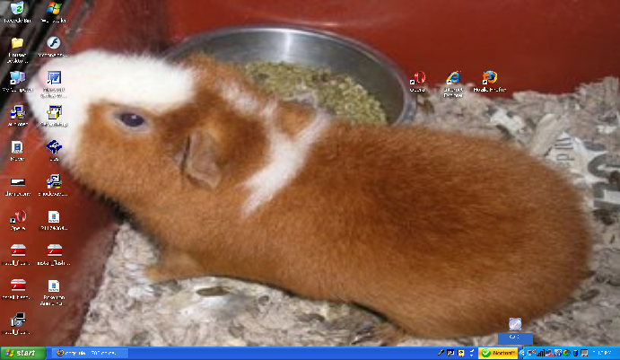 My desktop