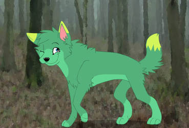 glimmer, wolf version