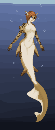 Leopard Shark