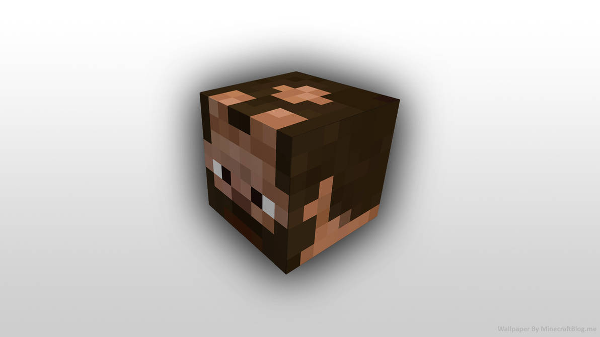 Minecraft Block Head, My Skin desktop wallpaper by fpsxgames on DeviantArt