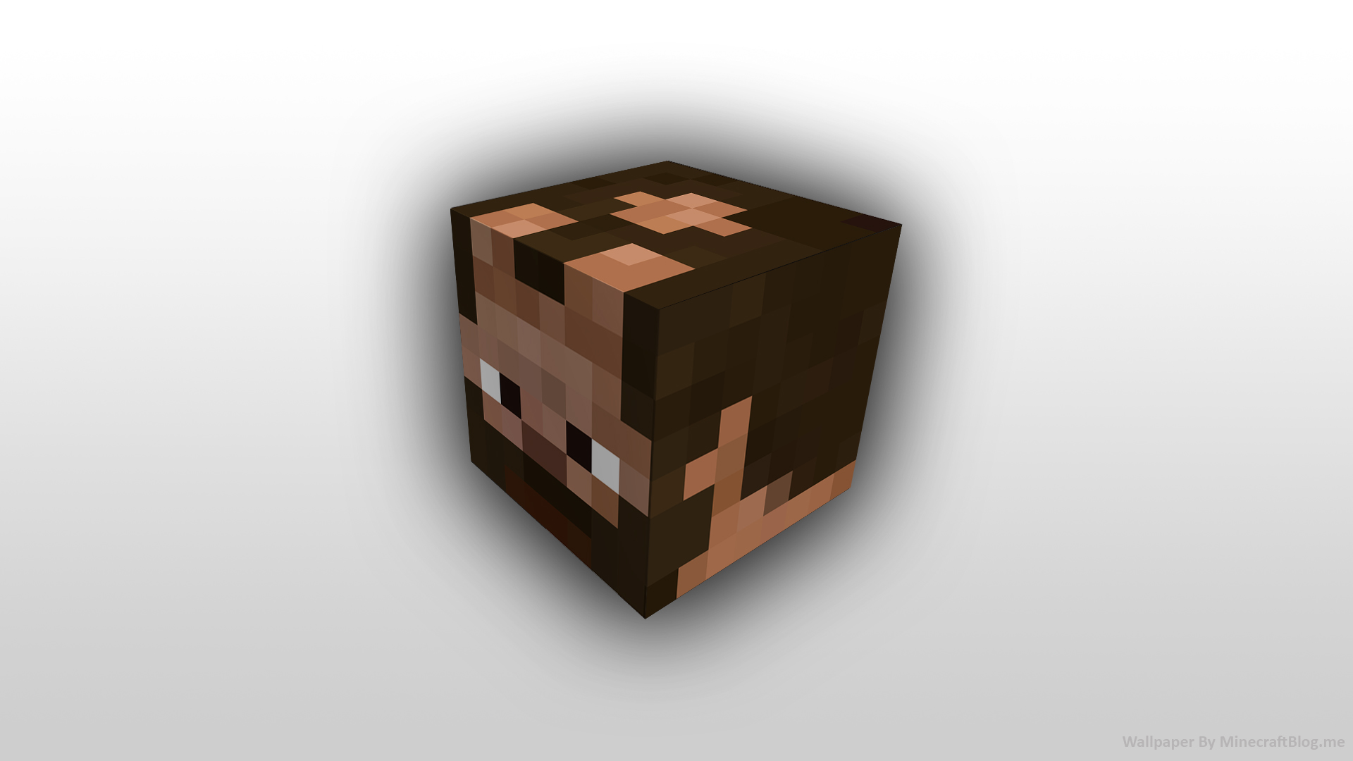 Minecraft Face Skin