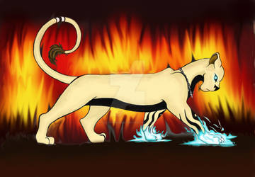OC Lioness: Blue Flame2