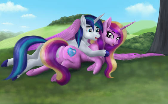 Gotcha! _(Cadence and Shining Armor)