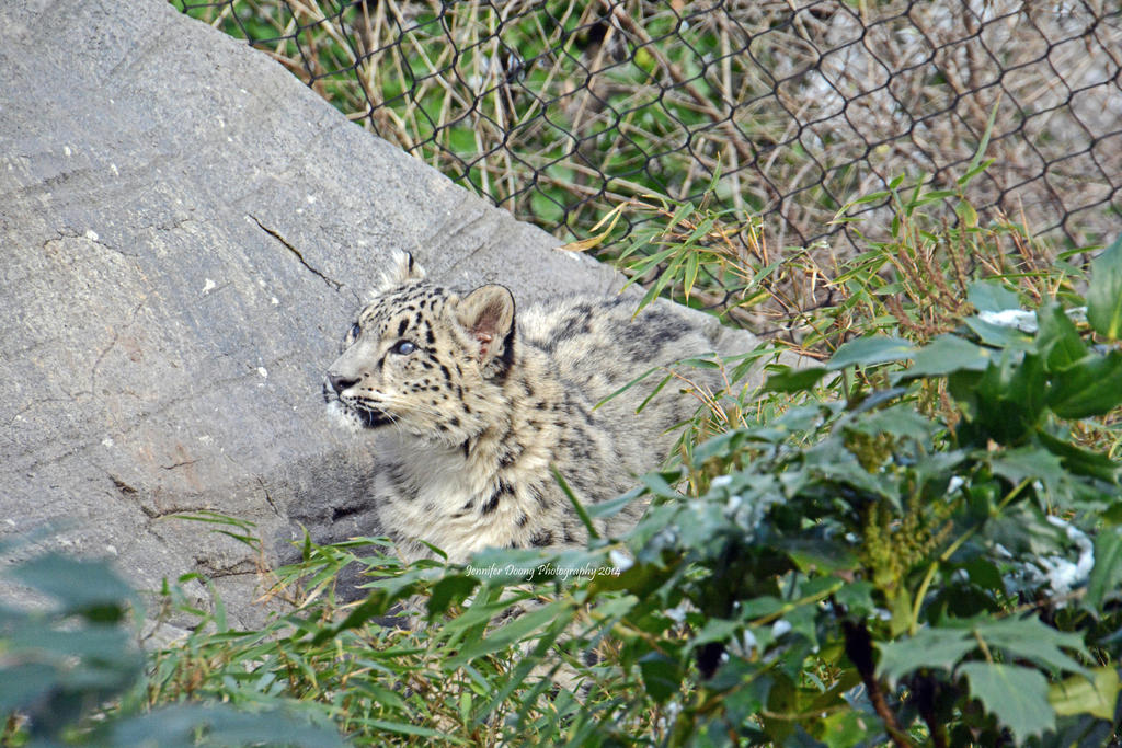 Contemplating the Climb