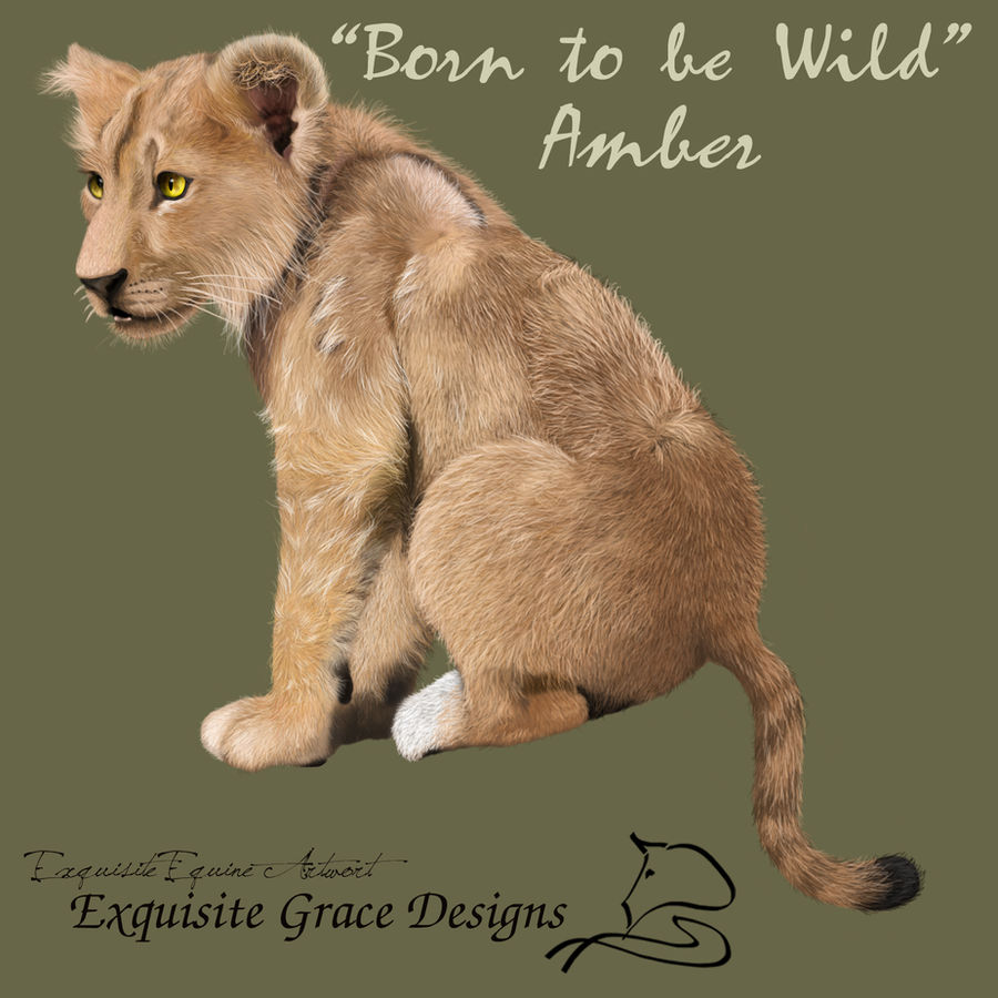 Born to be Wild -Amber-