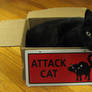 Attack Cat