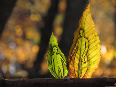 Leaf Sprite Parent and Child: Lessons