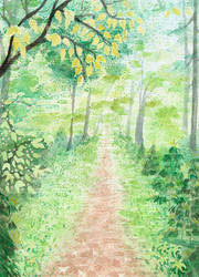 The woodland path