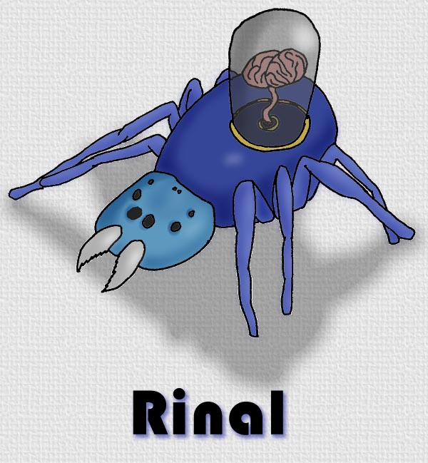 Rinal