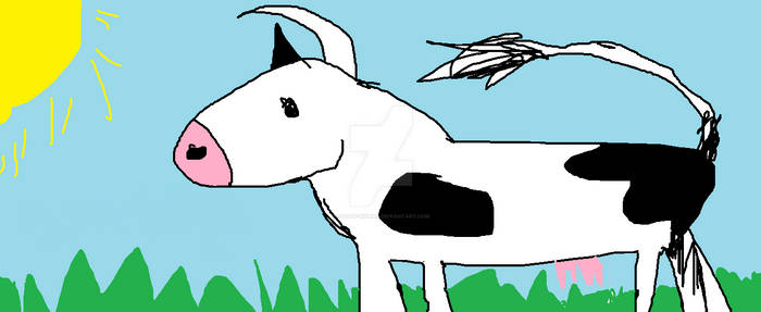 my cow