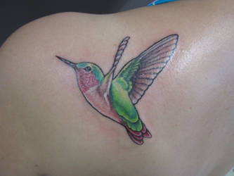 Hummingbird