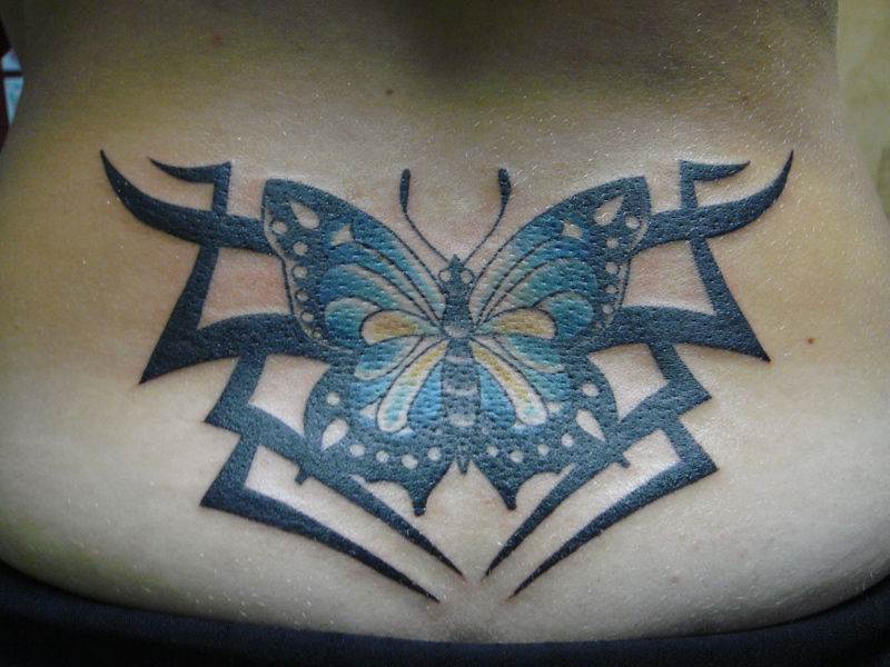 08.19.2010 butterflytrampstamp