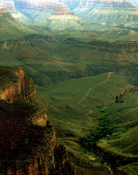 Grand Canyon in green