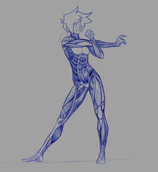 Anatomy study