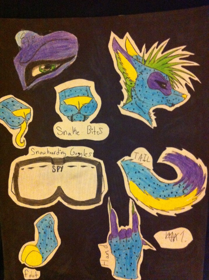 Sirus Ref PG.2