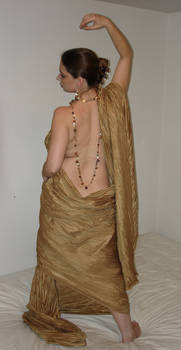 Golden Draped Back 4