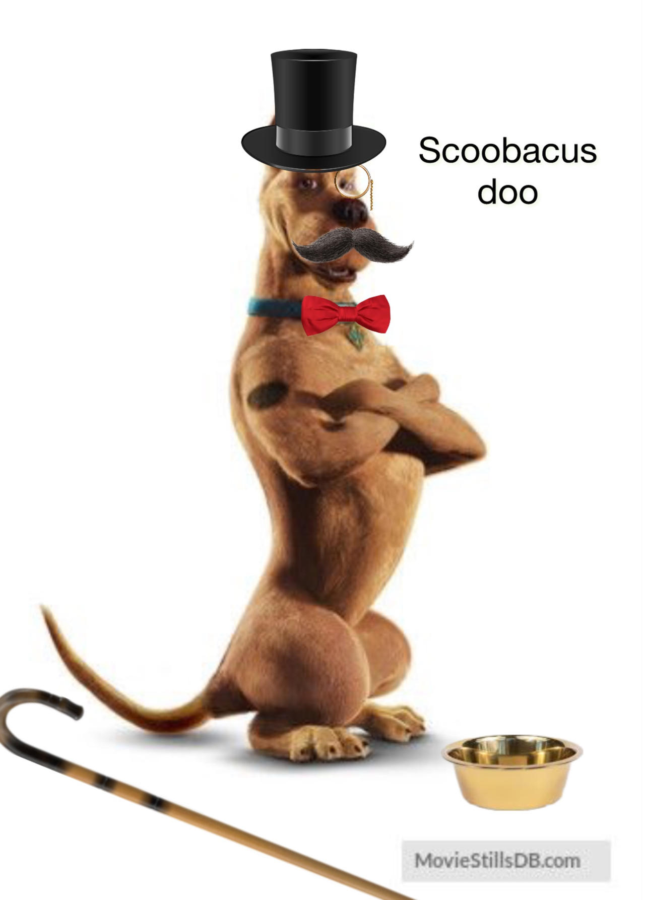 Tobyguy1984 Scoobacus doo by tobyguy1984 on DeviantArt