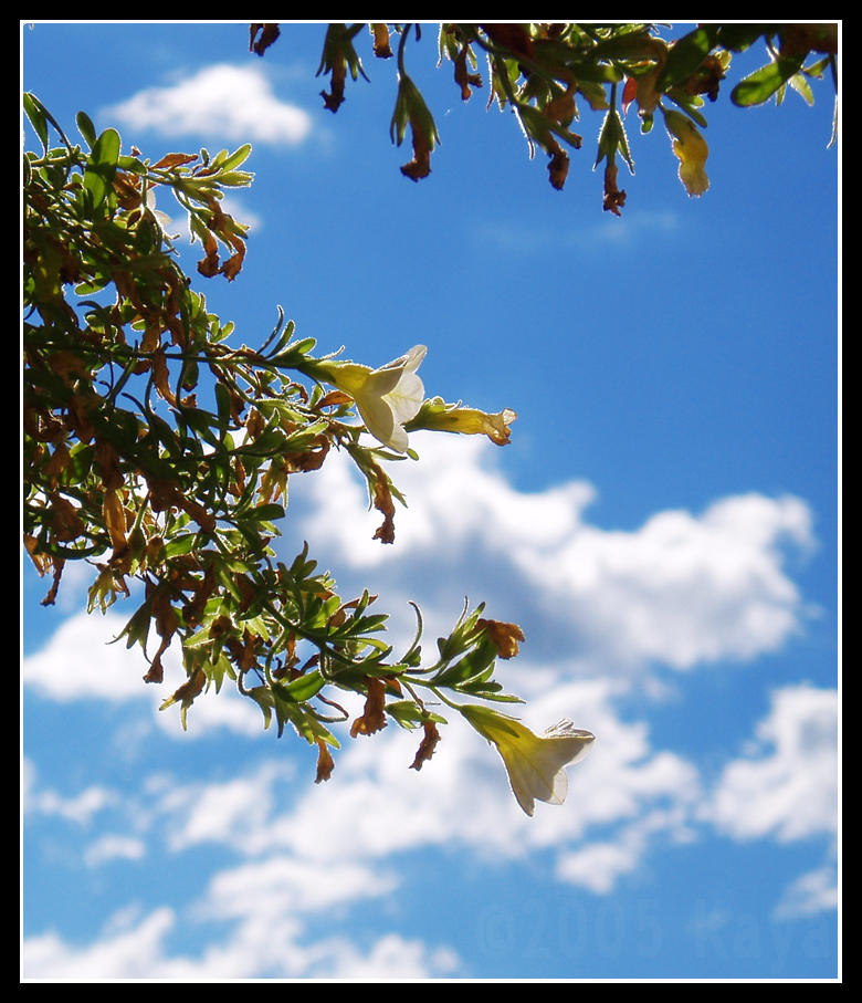 When fall ends by AiKa2 on DeviantArt