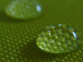 Water Drops