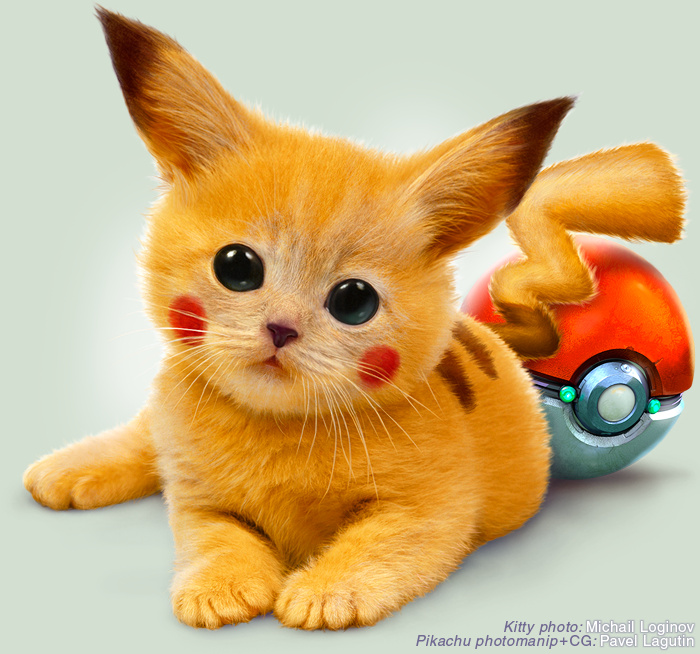 The Real Pikachu by Lagutin