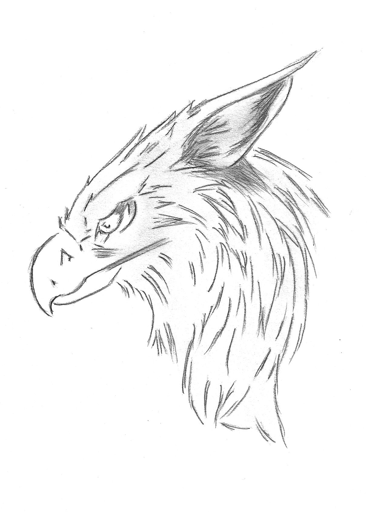 Gryphon