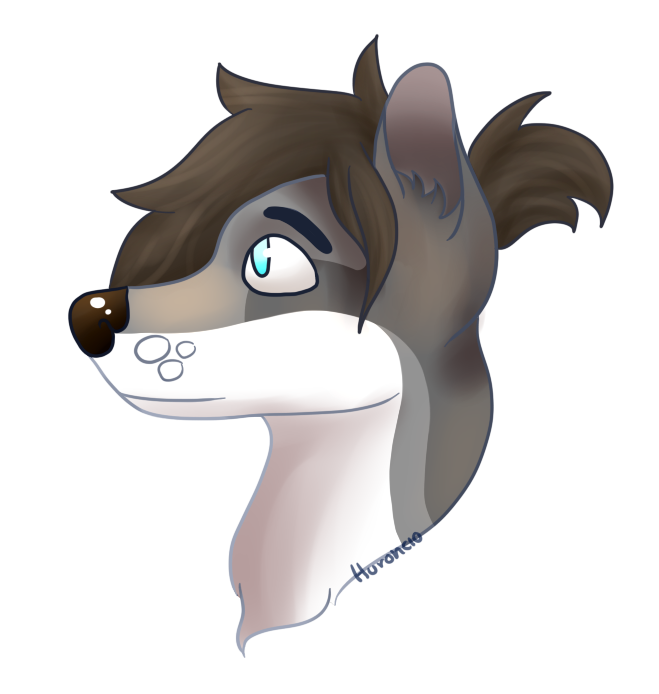 Zavi by Huroncio on DeviantArt