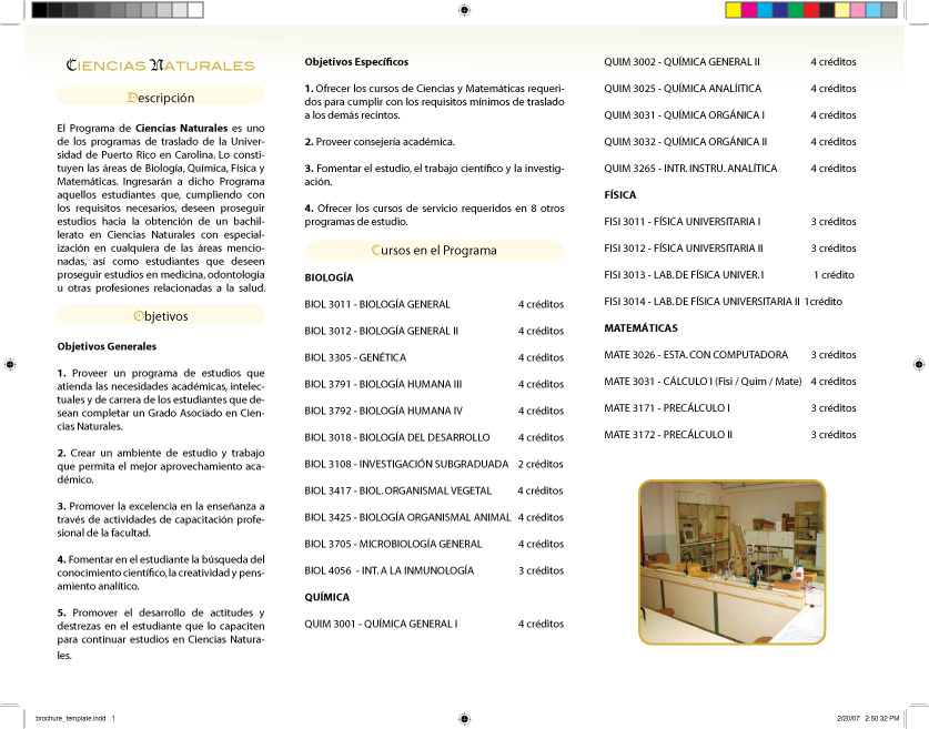 Natural Sciences Brochure P.1