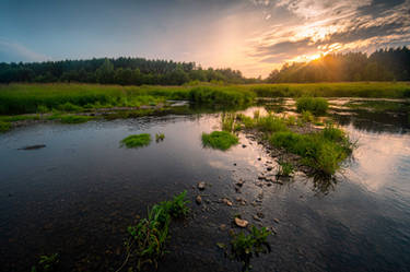 On the banks of the Tvertsa river 2