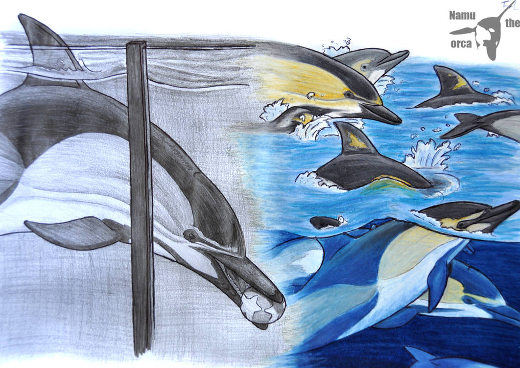 11. Memory by namu-the-orca on DeviantArt