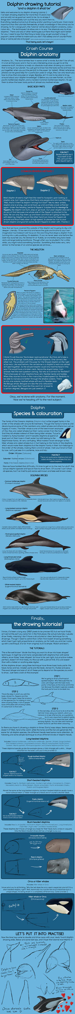 Dolphin drawing tutorial :D