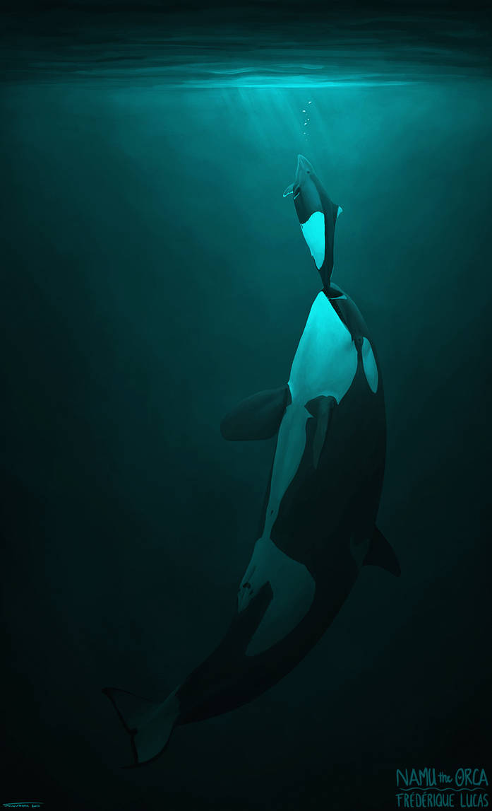 Death Stranding Whale by Ansamnia on DeviantArt