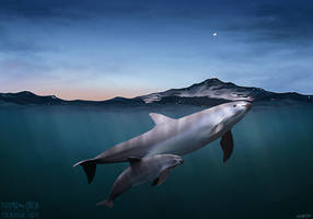 The Desert Porpoise