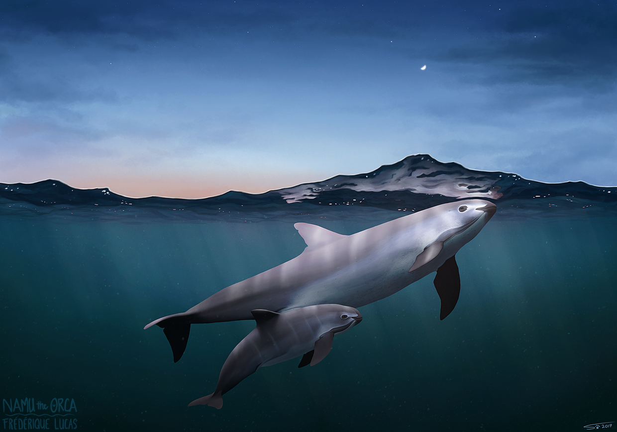 The Desert Porpoise